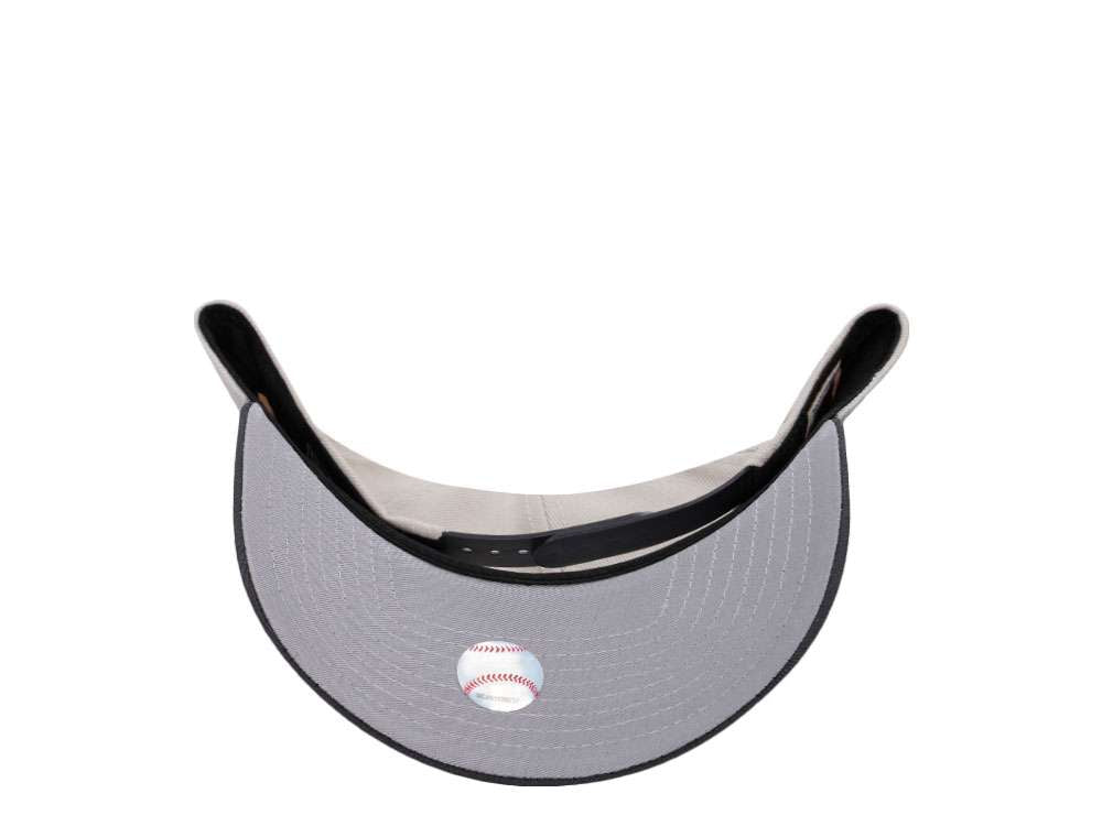 Gorra Twins de Minnesota “Dust Season 2010”